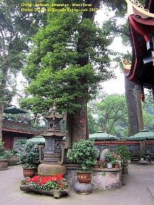 Emeishan 011